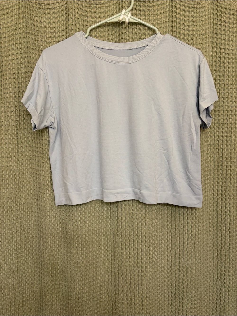 avocado Light blue Cropped Crewneck Tee